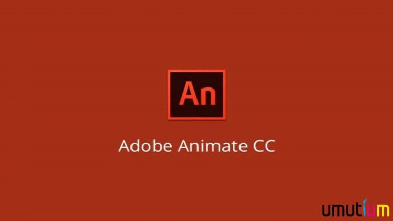 animate eğitimi
