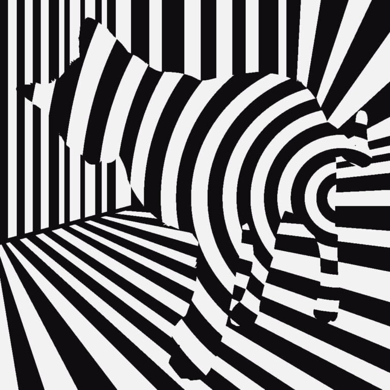 Sanat Akımları - Op Art 22 op art sanat akimi