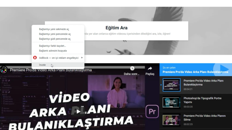 Resmi Farklı Kaydet Seçeneği Olmayan Resimleri Kaydetme 9 Resmi Farkli Kaydet Secenegi Olmayan Resimleri Kaydetme