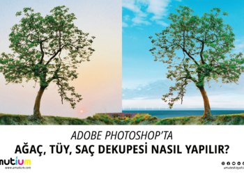 Adobe Photoshop Agac Dekupe Nasil Yapilir 01