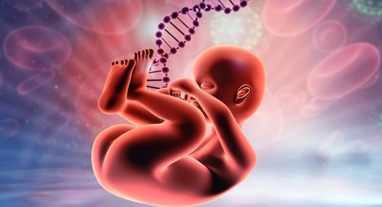 Elisa Testi: En Hassas Sonuçlar için Tercih Edilen Yöntem 3 fetal dna testi